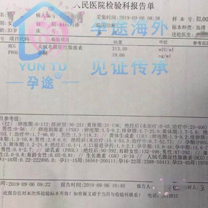 ̩ԹӤֲ9гɹHCG 313